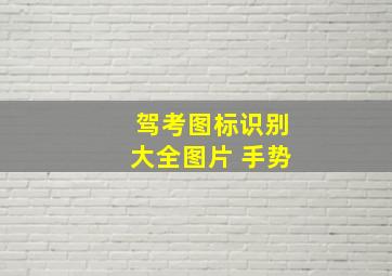 驾考图标识别大全图片 手势